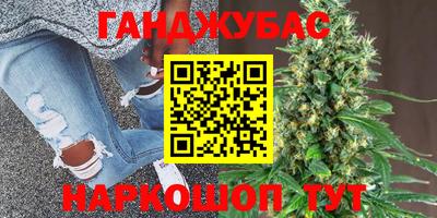 шишки Заволжье