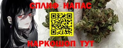 шишки Заволжье