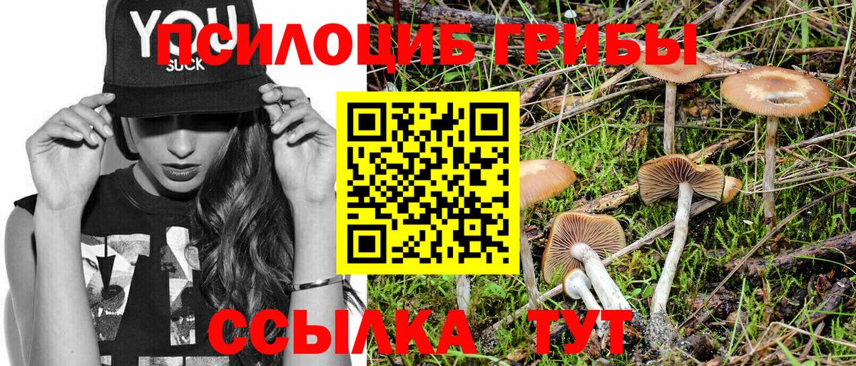 Галлюциногенные грибы мухоморы Выкса