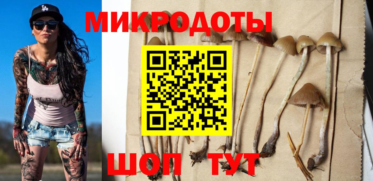 Галлюциногенные грибы мухоморы  даркнет сайт  Галлюциногенные грибы Cubensis  Выкса  Вход с VPN 